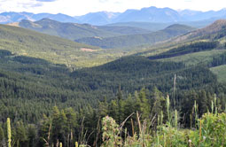 Story 2 - 170201 Crowsnest Pass Herald